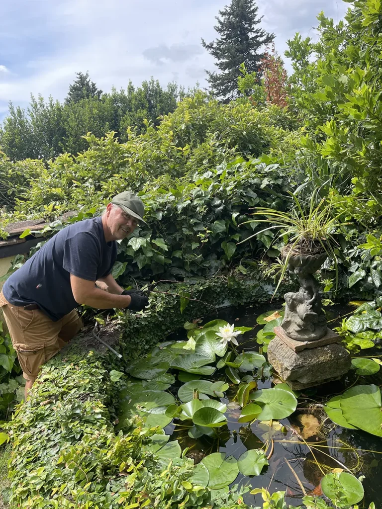 Impressionist artist Agostino Veroni caring for the water lily pond and lotus flowers in his garden at Villa Minghetti, Tuscany.